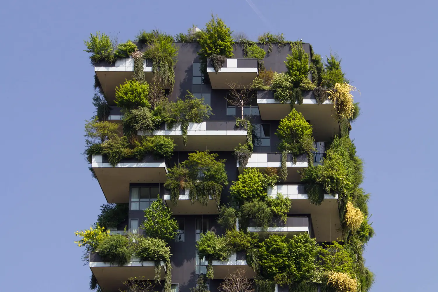 Building with vegetation