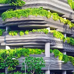 Parking lot garden