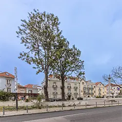 Setúbal